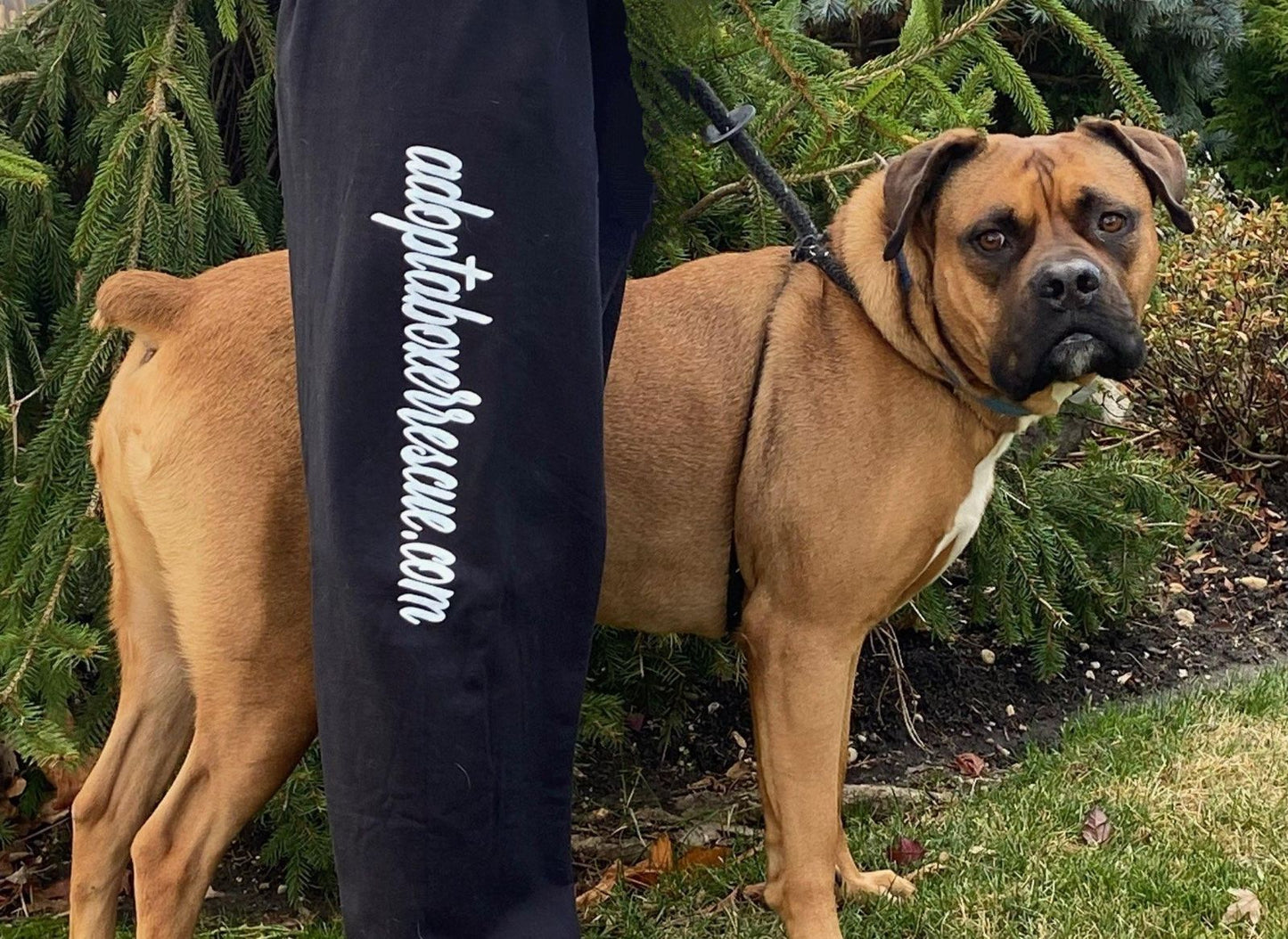 Unisex Sweatpants