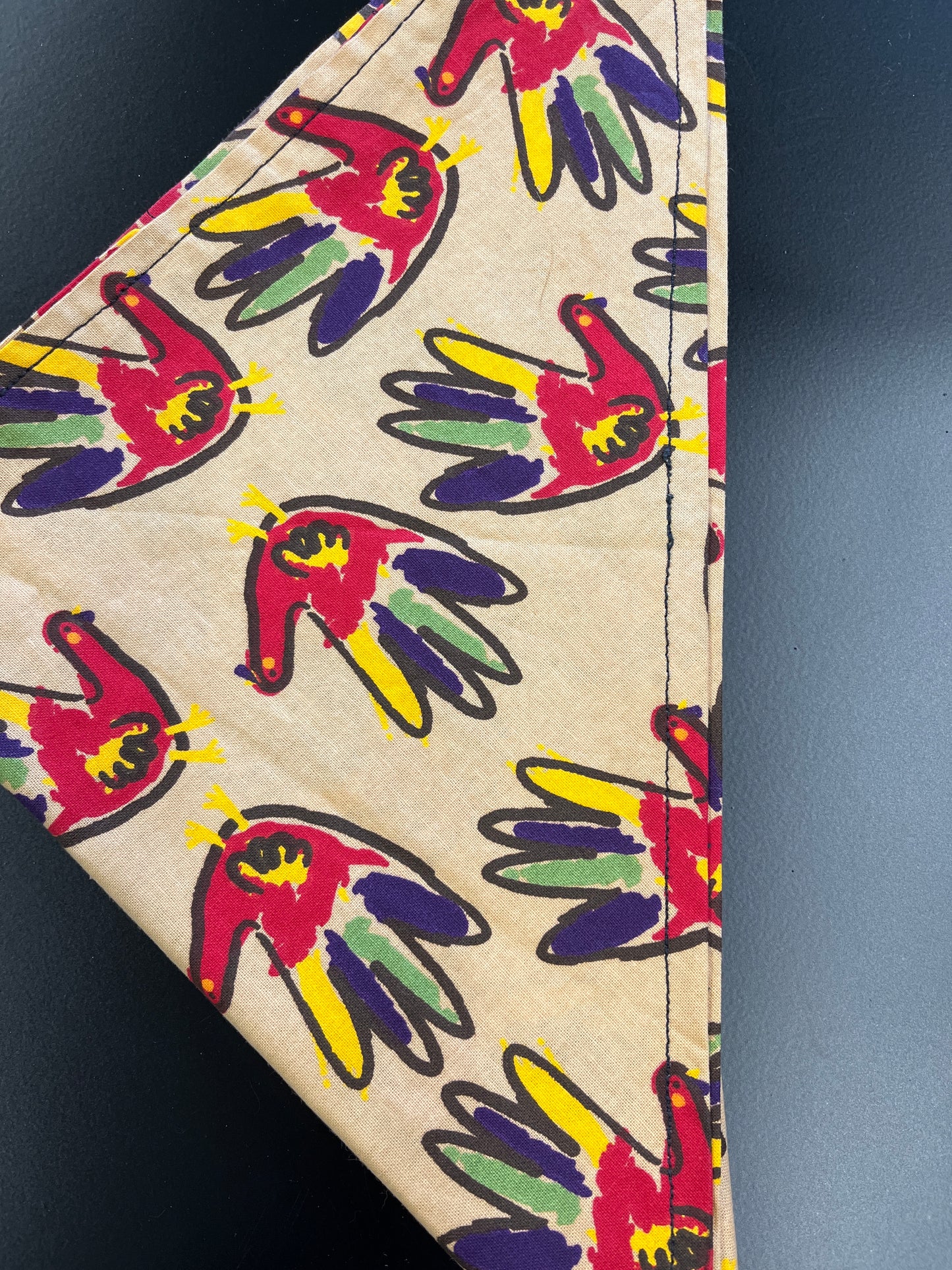 Chickens bandana
