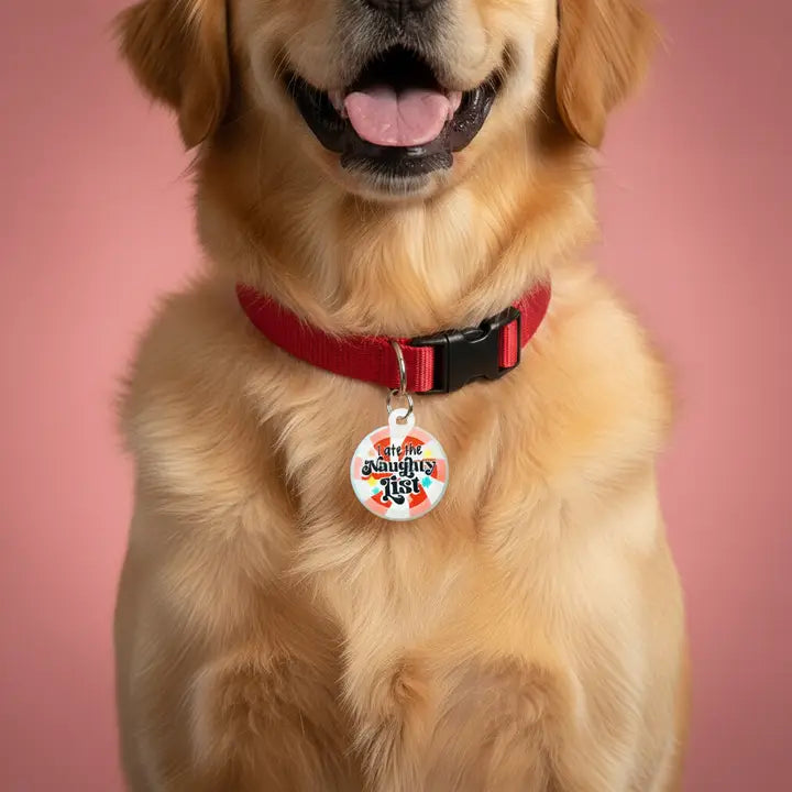 HOLIDAY COLLAR CHARM-I ATE THE NAUGHTY LIST