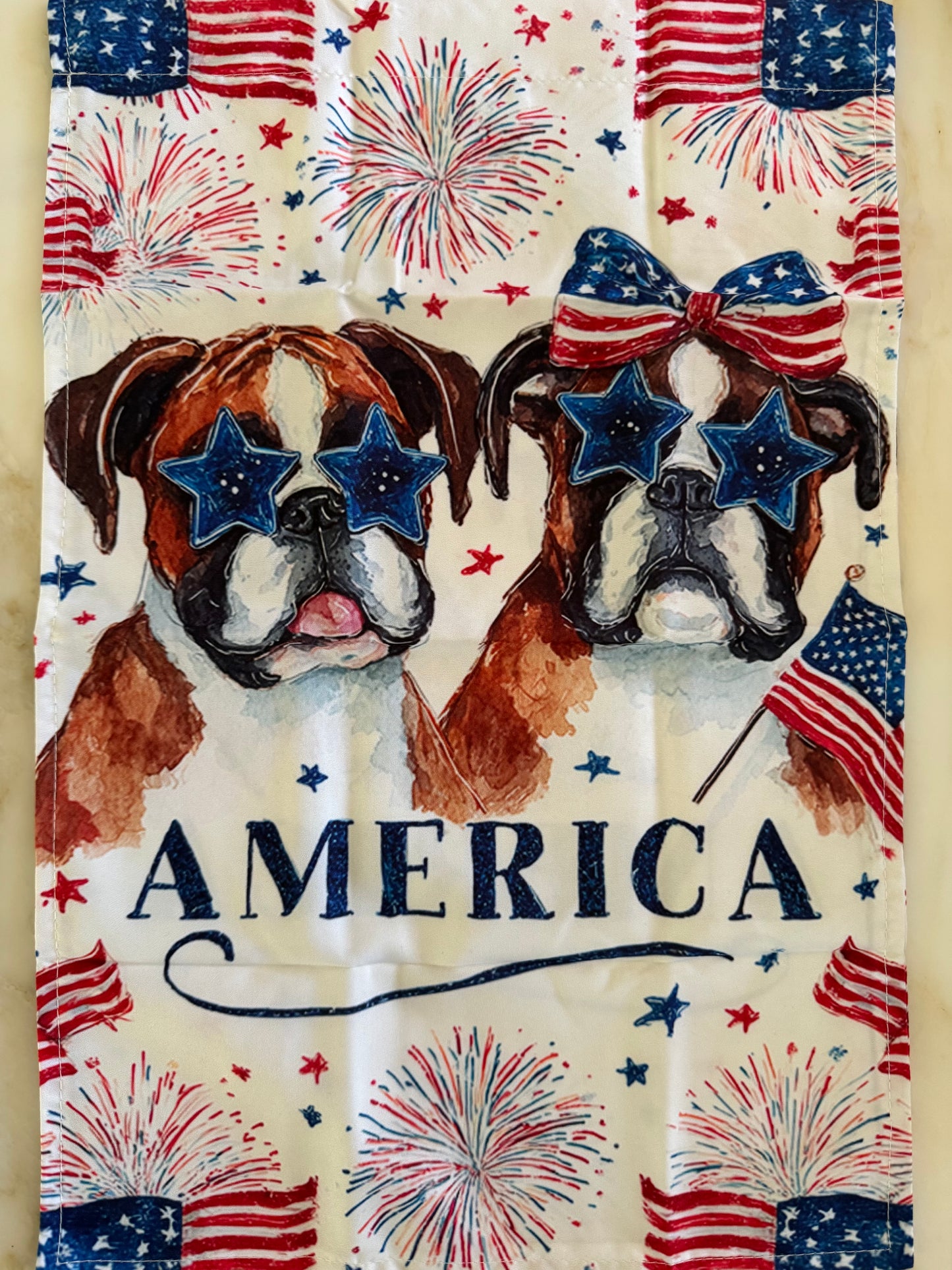 America flag with 2 boxers