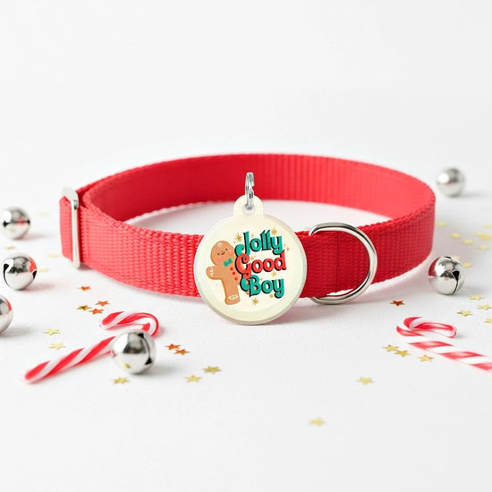 HOLIDAY COLLAR CHARM- JOLLY GOOD BOY