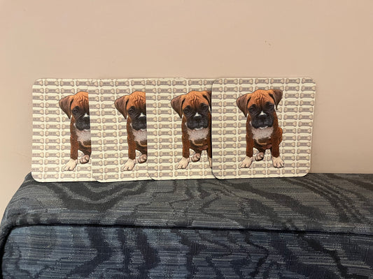 Boxer coasters . Set of 4