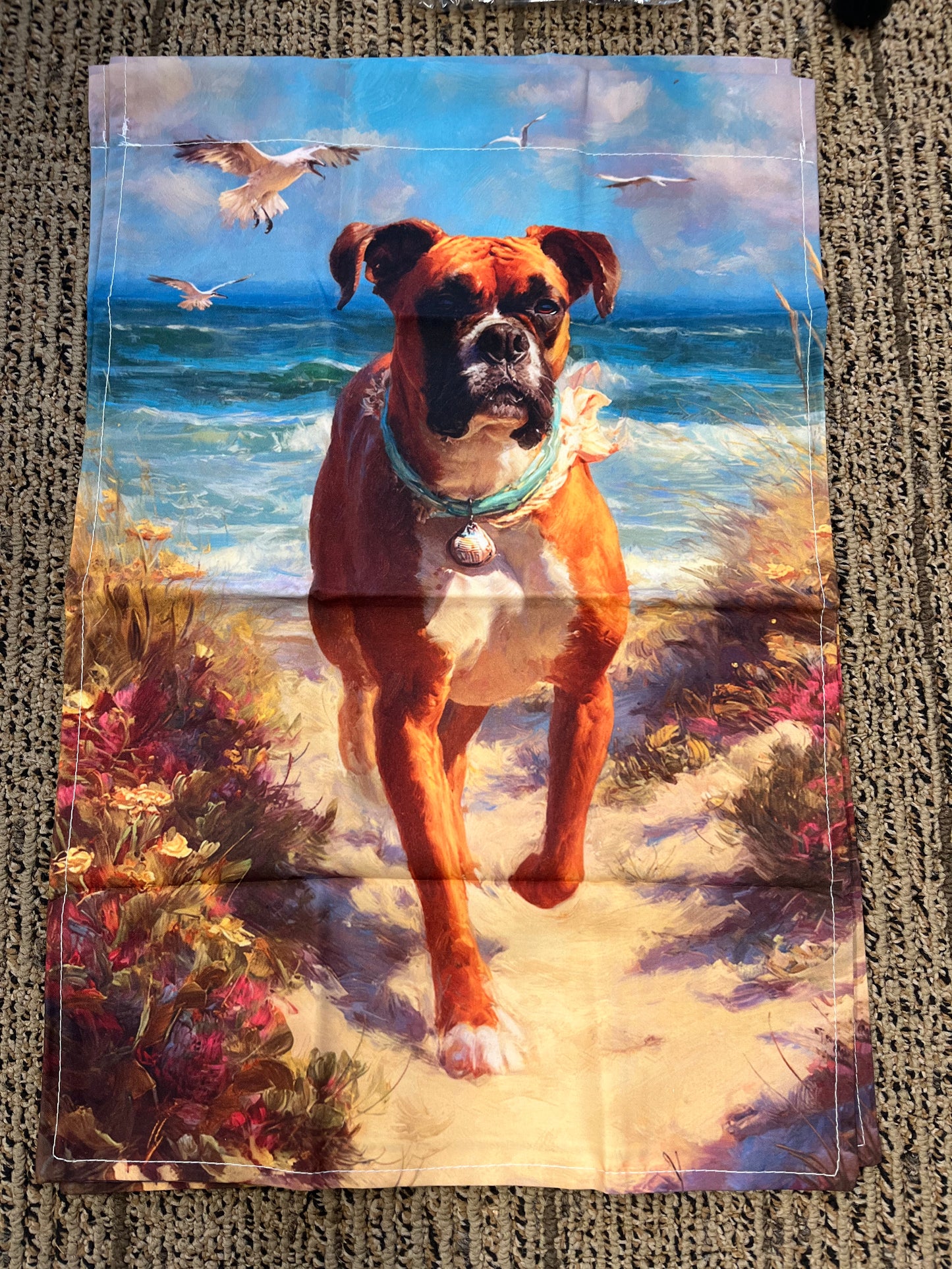 Boxer walking the dunes at the beach