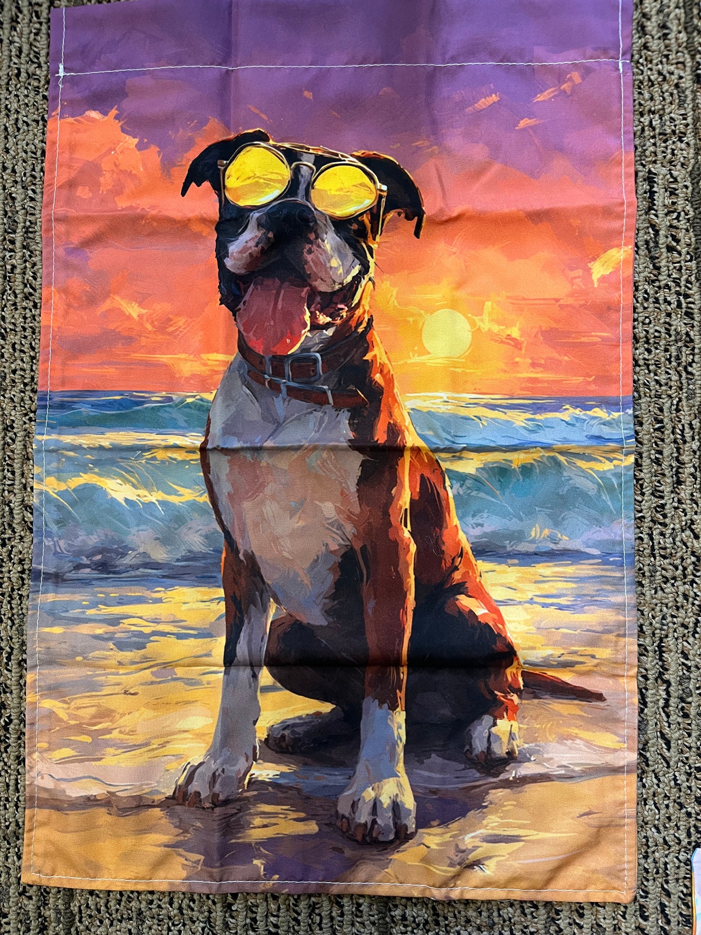 Boxer on the beach with red sunset
