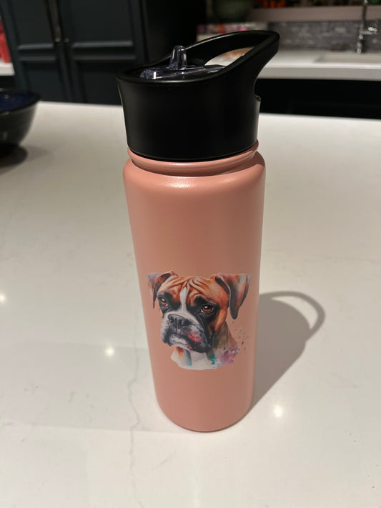 Pink fawn boxer 24oz stainless steel food grade water bottle custom