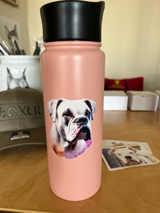 24oz custom painted stainless steel food grade water bottle with white boxer