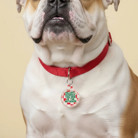 HOLIDAY COLLAR CHARM- JOLLIEST ***HOLE IN THE NUT HOUSE