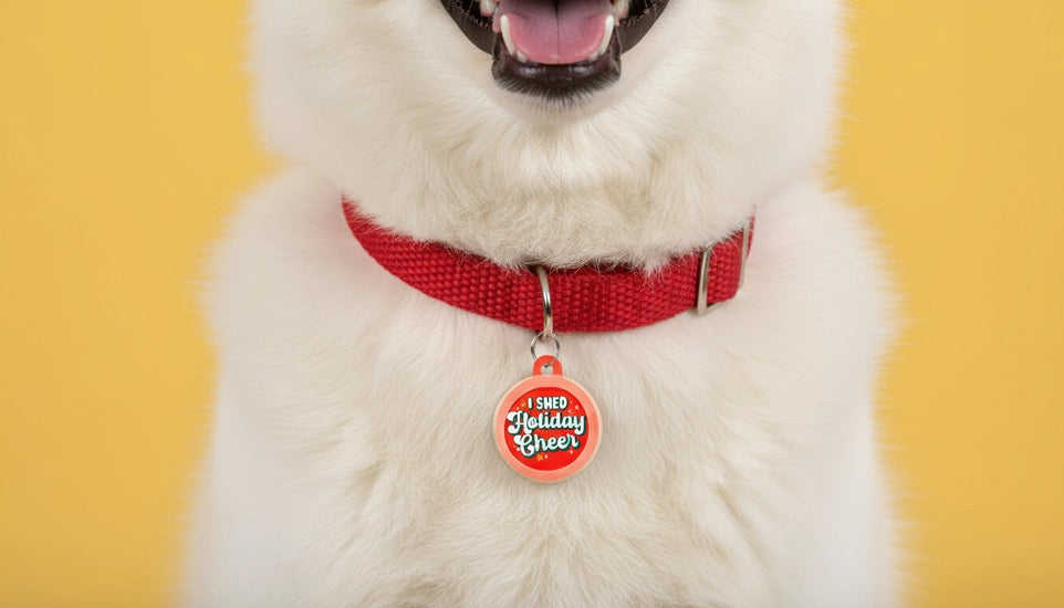 HOLIDAY COLLAR CHARM- I SHED HOLIDAY CHEER