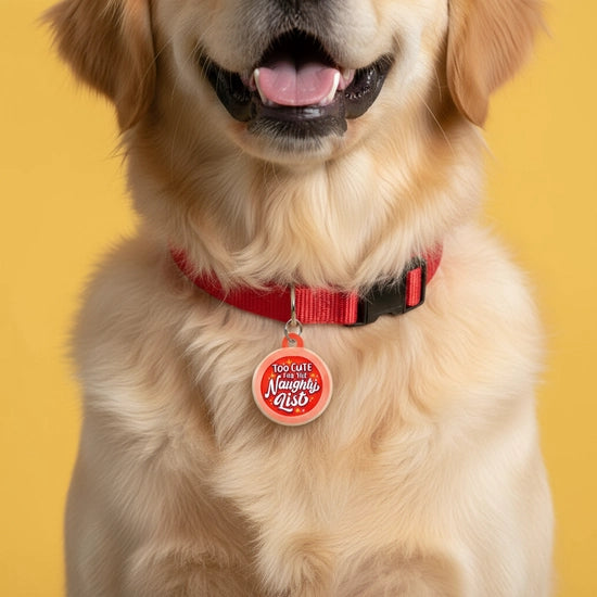 HOLIDAY COLLAR CHARM- TOO CUTE FOR THE NAUGHTY LIST