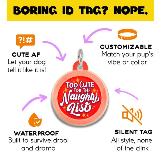 HOLIDAY COLLAR CHARM- TOO CUTE FOR THE NAUGHTY LIST