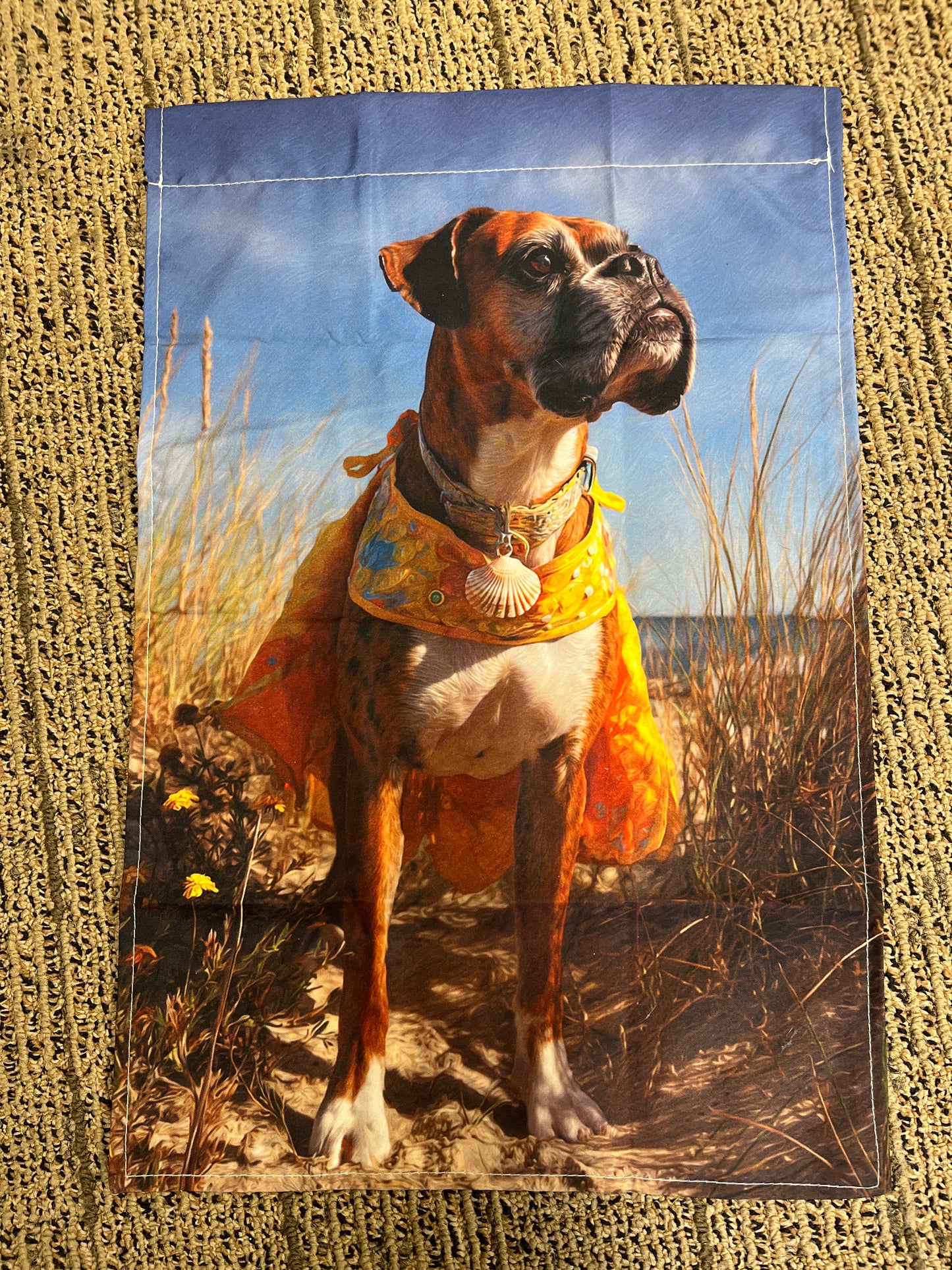 Boxer on beach w/seashell&coat
