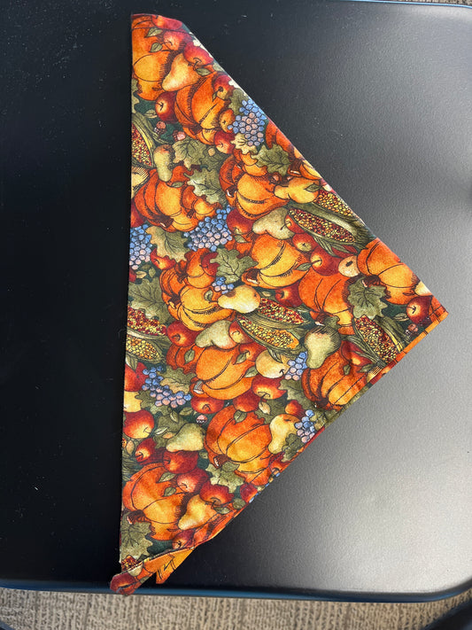 Thanksgiving bandana