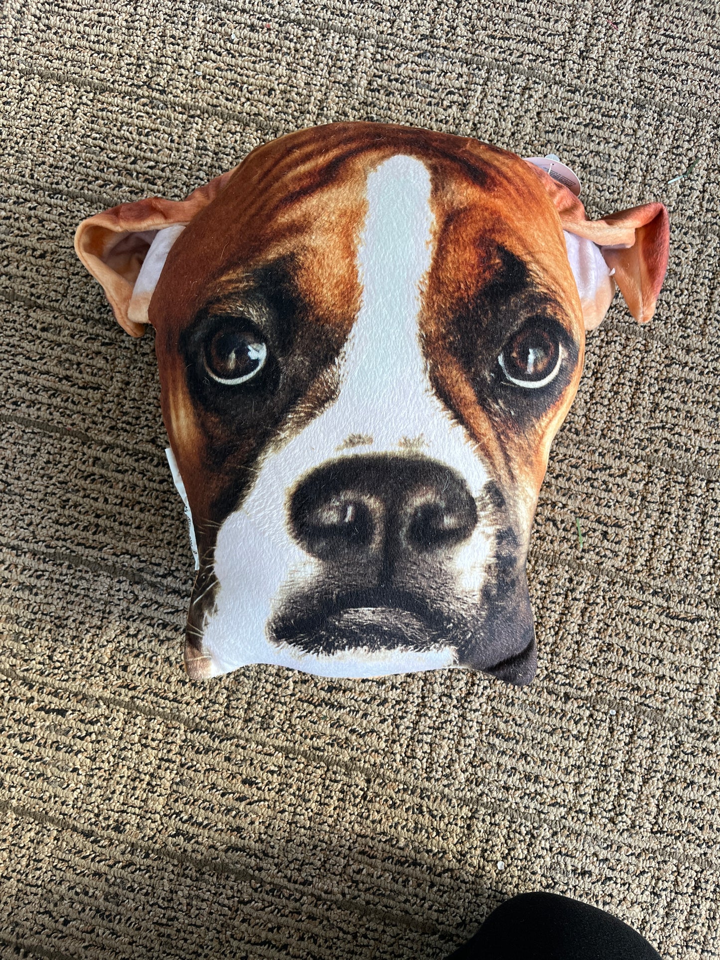 Boxer pillow