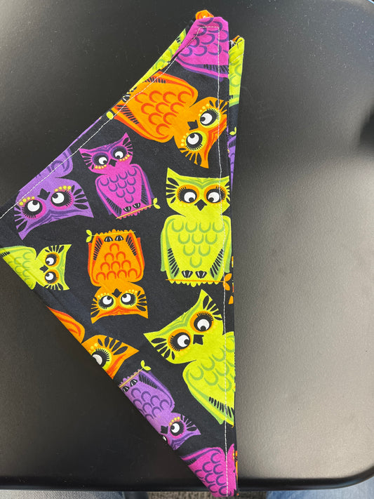 Owl bandana