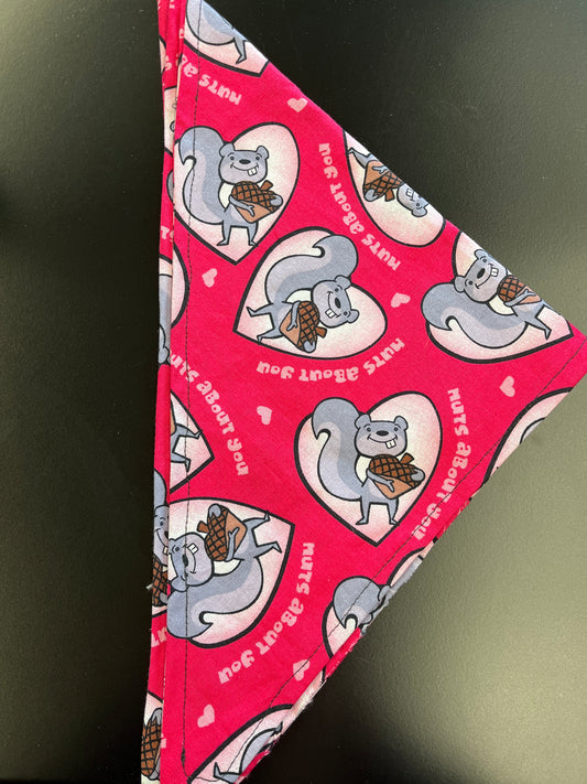 ❤️Squirrel bandana