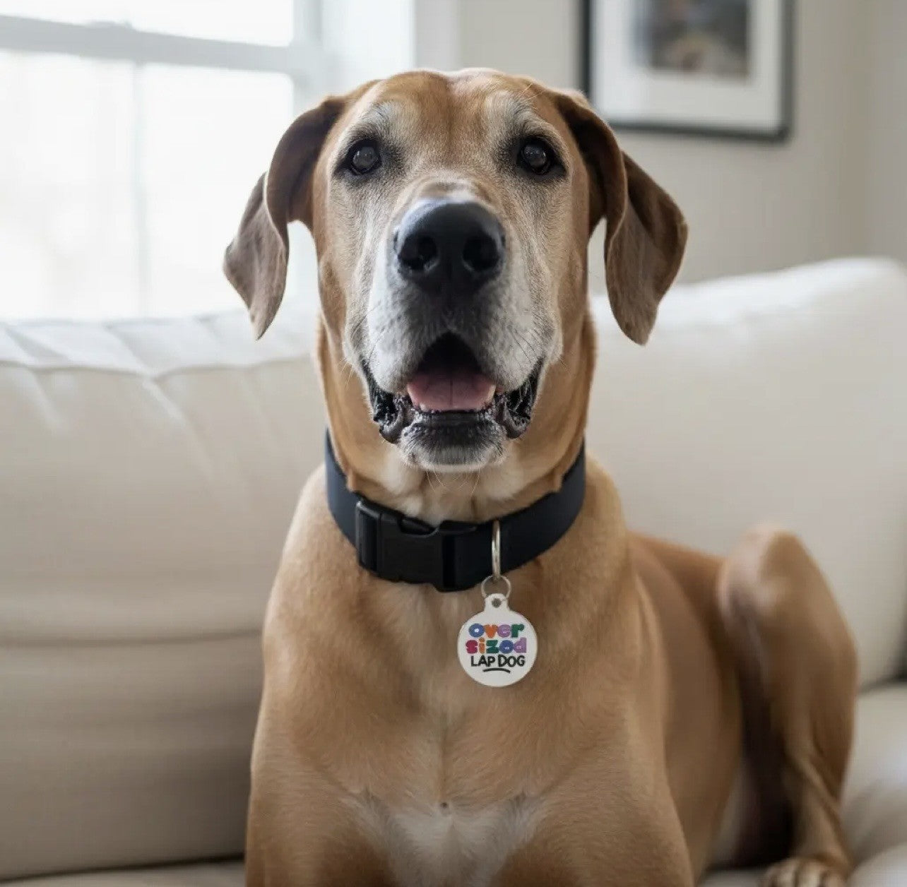 NEW ITEM OVERSIZED LAP DOG Bad Dog Tag (QR coded)